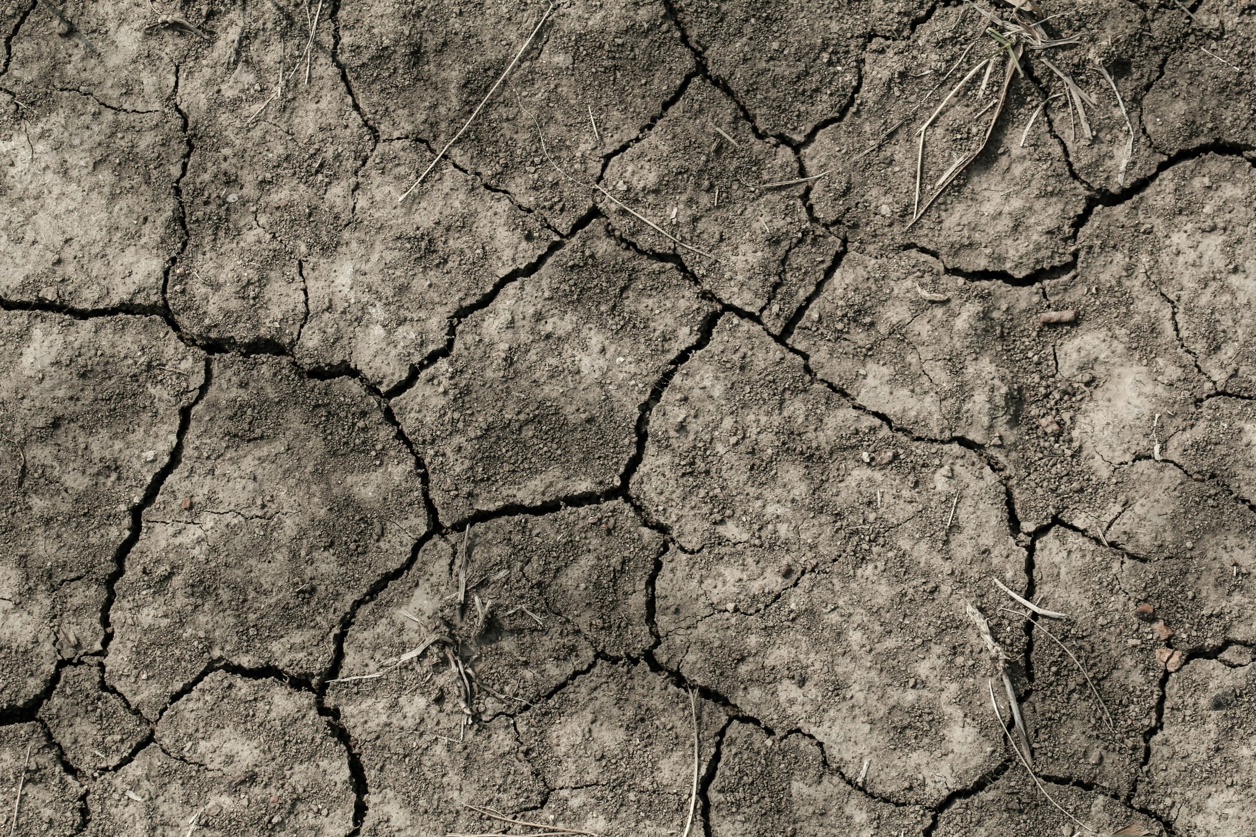 dry riverbed, cracked earth